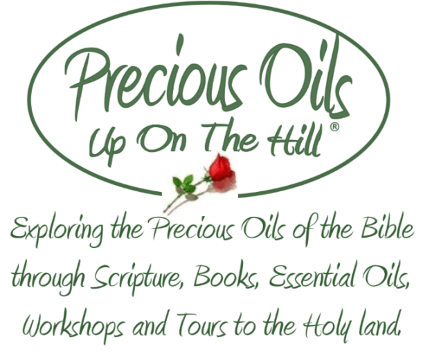 Precious Oils Logo 2017 Dec
